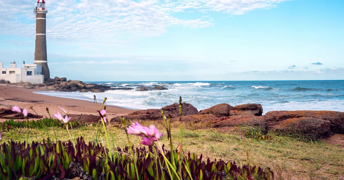 🇺🇾 Punta del Este