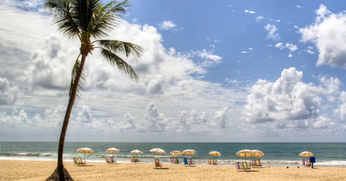 🇧🇷 Recife