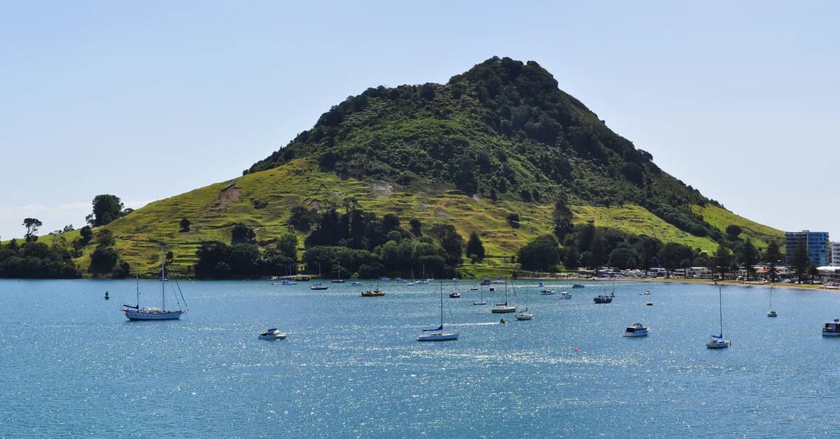 🇳🇿 Tauranga