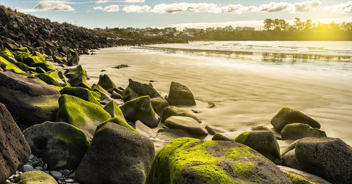 🇳🇿 Timaru