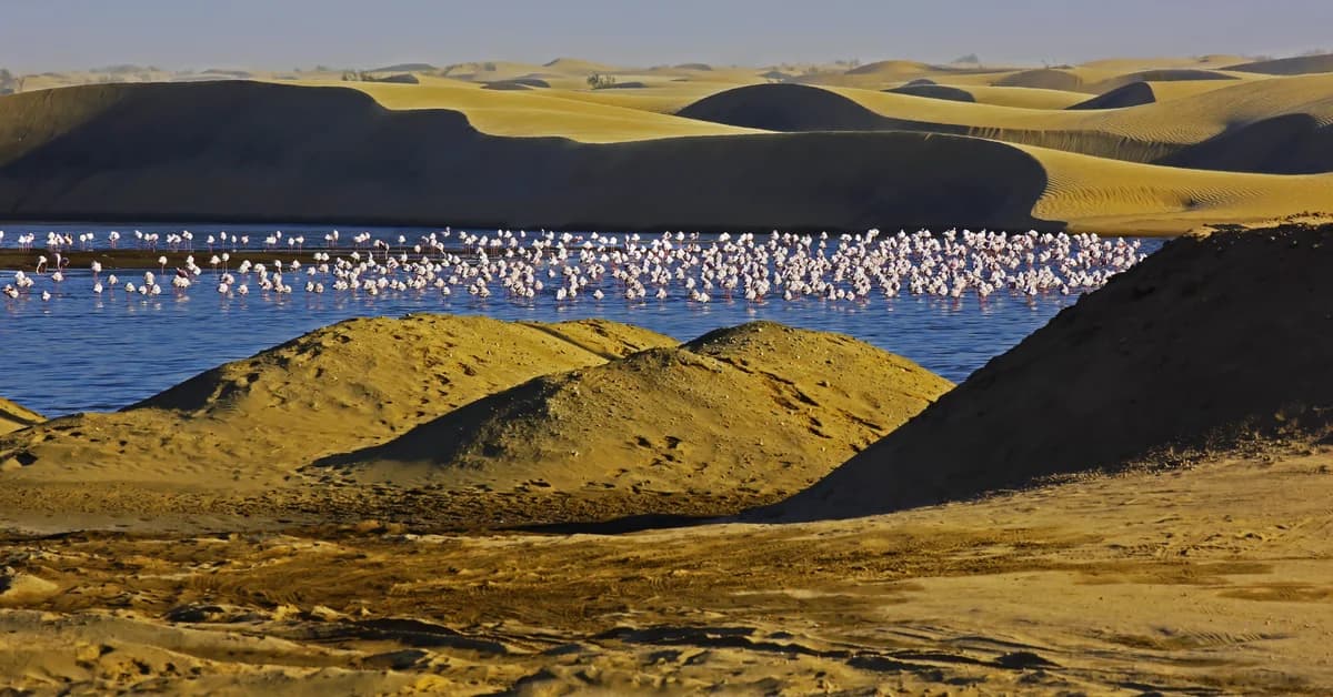 🇳🇦 Walvis Bay