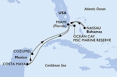 9 nights Caribbean cruise on MSC Seaside 
from 🇺🇸 Miami 