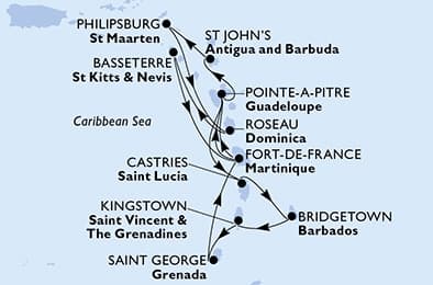 14 nights Caribbean cruise on MSC World Asia 
from 🇲🇶 Fort-de-France 