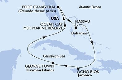 7 nights Caribbean cruise on MSC Seashore 
from 🇺🇸 Port Canaveral 
