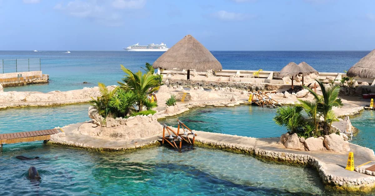 ๐ฒ๐ฝ Cozumel