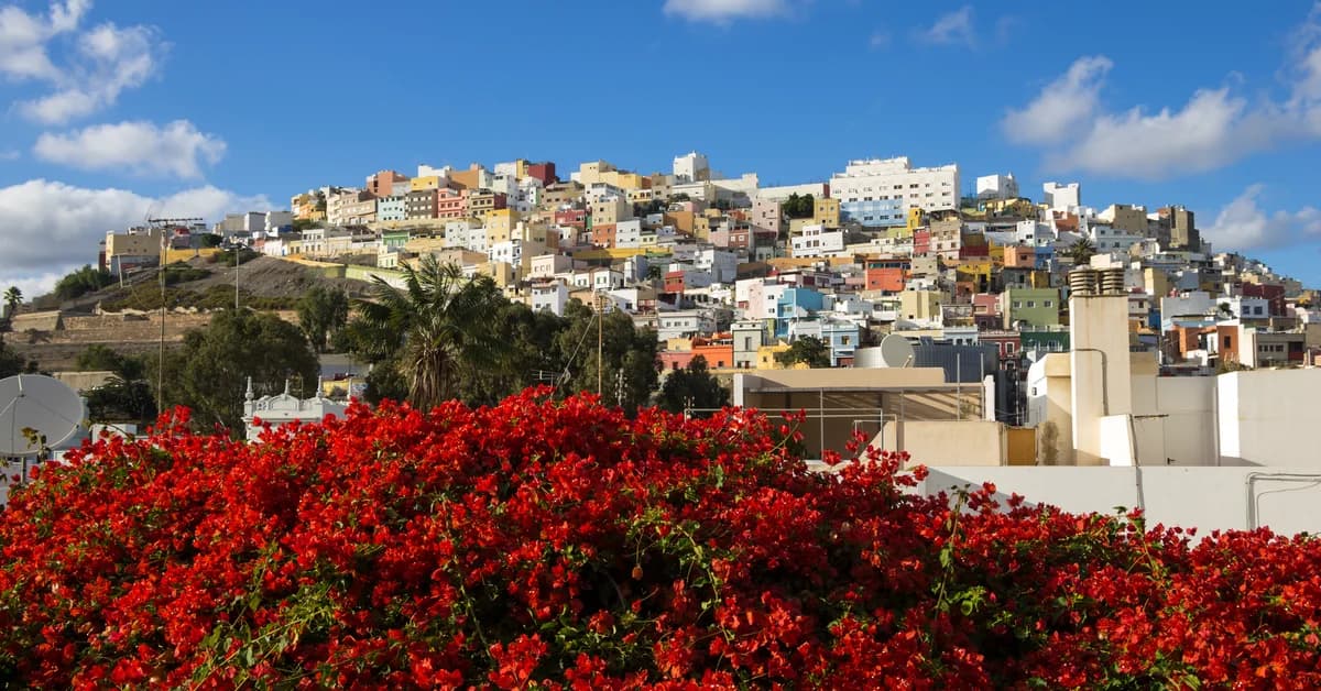 🇪🇸 Las Palmas