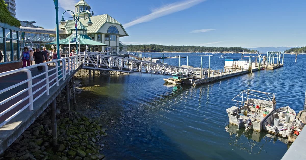 ๐จ๐ฆ Nanaimo