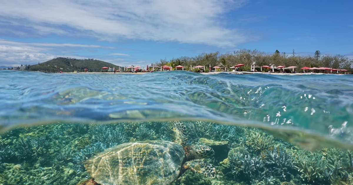 🇳🇨 Noumea