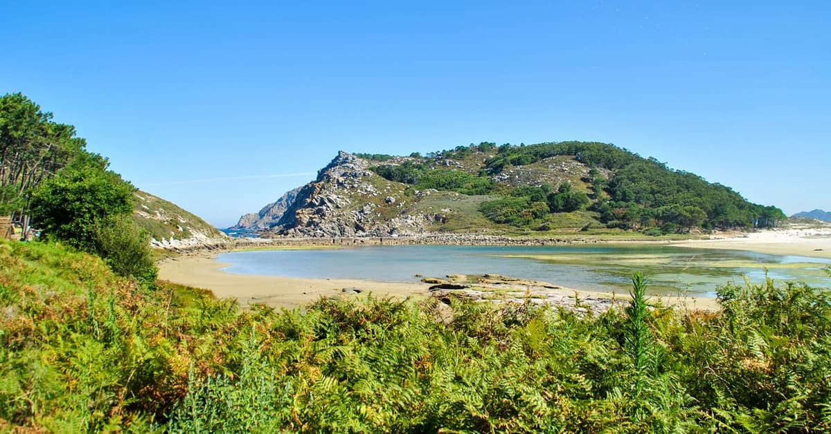 ๐ช๐ธ Vigo