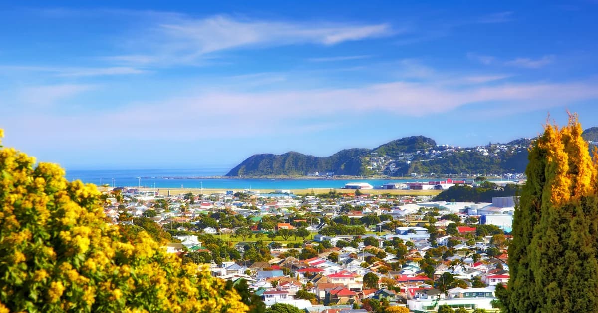 ๐ณ๐ฟ Wellington