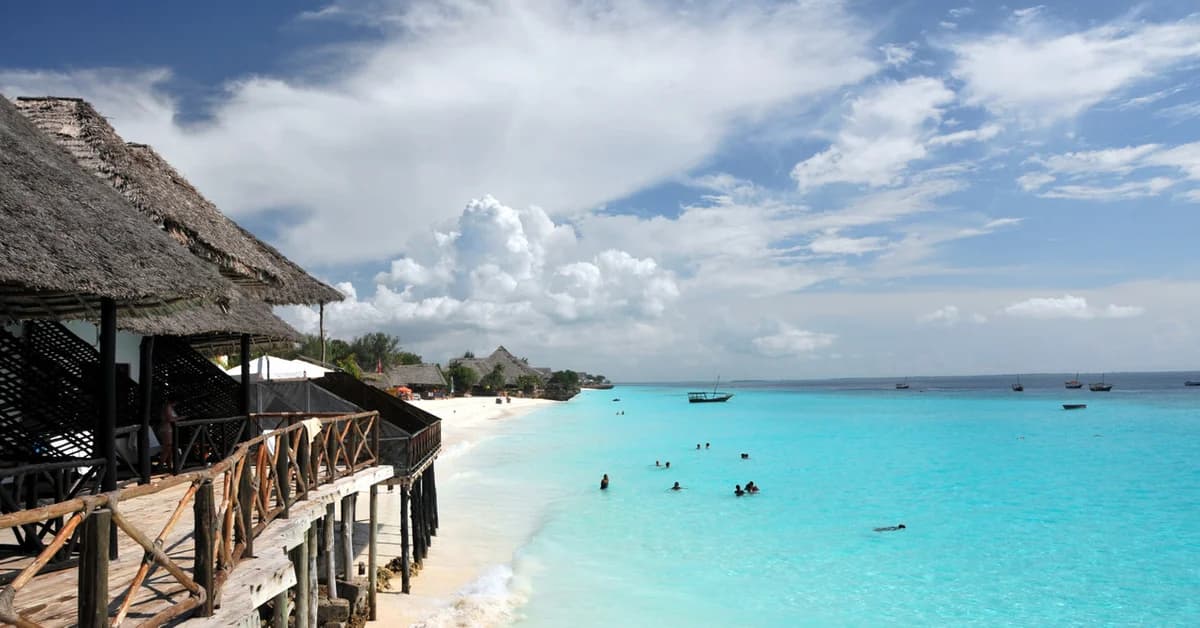 ๐น๐ฟ Zanzibar