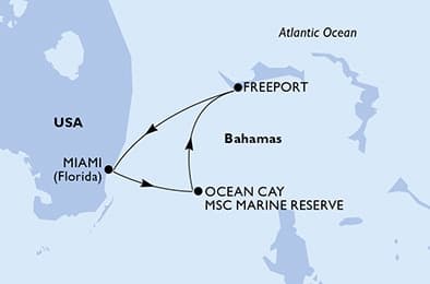 4 nights Caribbean cruise on MSC Meraviglia
from 🇺🇸 Miami