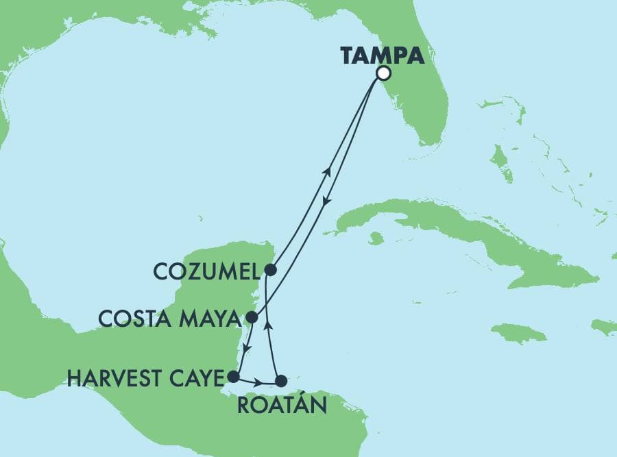 7 nights Caribbean cruise on Norwegian Dawn
from ๐บ๐ธ Tampa